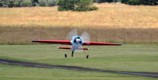 YAK 55   246