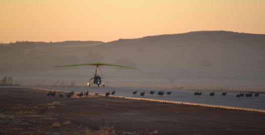 Microlight  Aquilla 