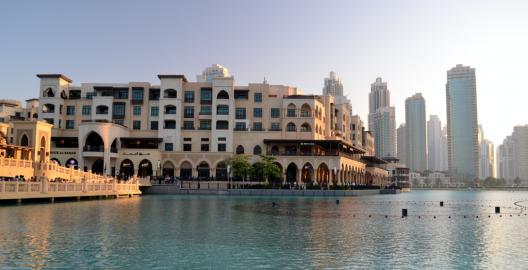 The Dubai Mall (1)